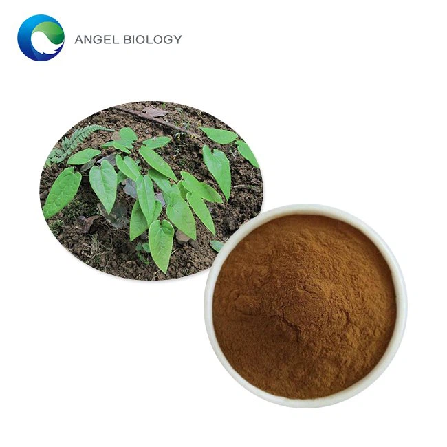 What are the Health Benefits of Epimedium Extract?